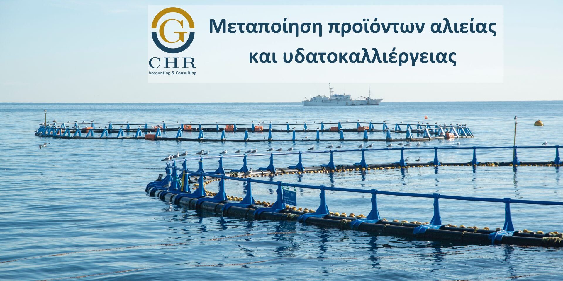 δράση αφορά στην ενίσχυση επενδύσεων για την ίδρυση νέων και την επέκταση/εκσυγχρονισμό υφιστάμενων μονάδων μεταποίησης/εμπορίας και μεταφοράς, εστιάζοντας στη δημιουργία και ανάπτυξη νέων προϊόντων με υψηλή προστιθέμενη αξία, διαδικασιών, συστημάτων διαχείρισης και οργάνωσης της παραγωγής, για την ενίσχυση της περιβαλλοντικής βιωσιμότητας σε όλα τα στάδια της παραγωγικής διαδικασίας,